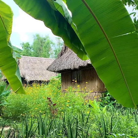 Saigon Garden Homestay-3